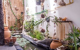 Dancing Elephant Beach Club - Hostel