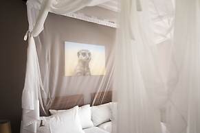 Dornhügel Guestfarm