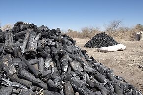 Dornhügel Guestfarm