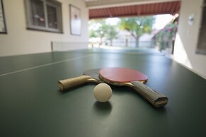 Dornhügel Guestfarm