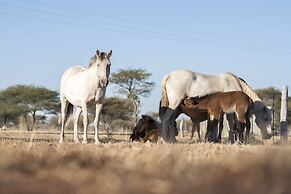 Dornhügel Guestfarm