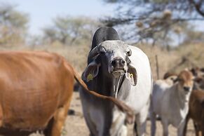 Dornhügel Guestfarm
