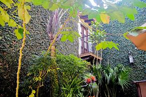 Meson del Alferez Coatepec