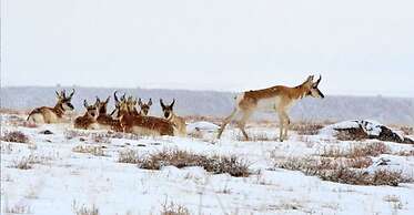 Casa del Gavilan Historic Inn
