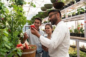 JW Marriott Mussoorie Walnut Grove Resort & Spa