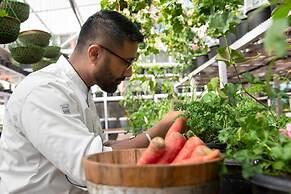 JW Marriott Mussoorie Walnut Grove Resort & Spa