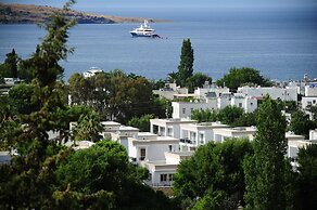 Delita Hotel Golturkbuku