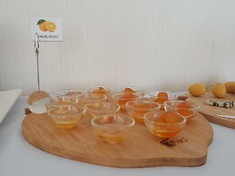 Delita Hotel Golturkbuku