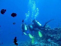 Plus View Maldives