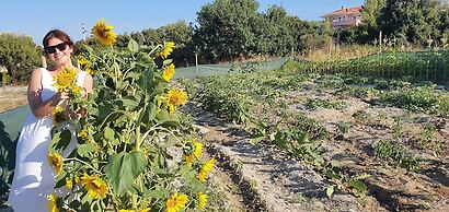 The D Hotel Cesme Resort