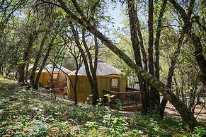 Lake of the Springs RV Resort