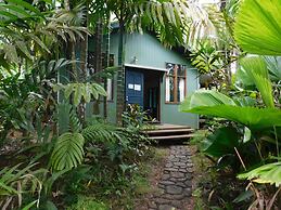 Rainforest Eco Lodge
