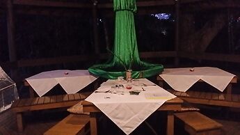 Rainforest Eco Lodge