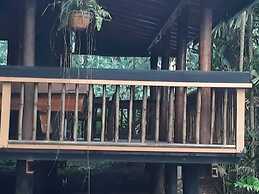 Rainforest Eco Lodge