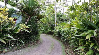 Rainforest Eco Lodge