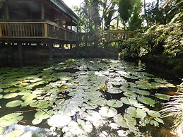 Rainforest Eco Lodge