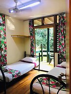 Rainforest Eco Lodge