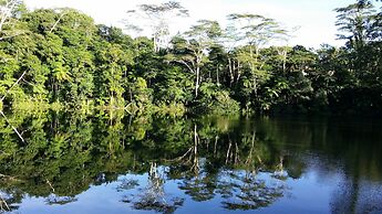 Rainforest Eco Lodge