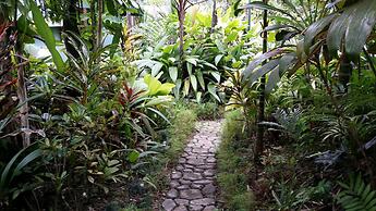 Rainforest Eco Lodge