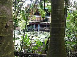 Rainforest Eco Lodge