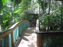 Rainforest Eco Lodge