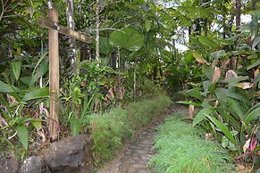 Rainforest Eco Lodge