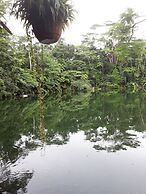 Rainforest Eco Lodge