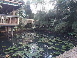 Rainforest Eco Lodge