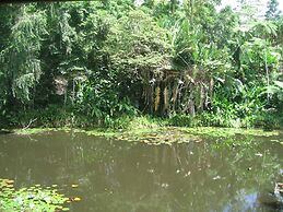 Rainforest Eco Lodge