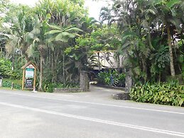 Rainforest Eco Lodge