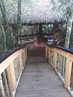 Rainforest Eco Lodge