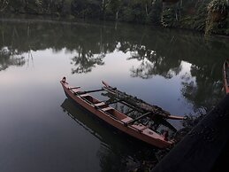 Rainforest Eco Lodge