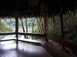 Rainforest Eco Lodge