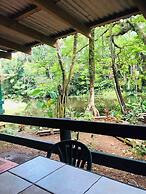Rainforest Eco Lodge