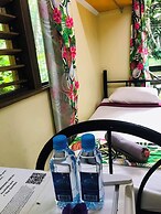 Rainforest Eco Lodge