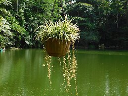 Rainforest Eco Lodge