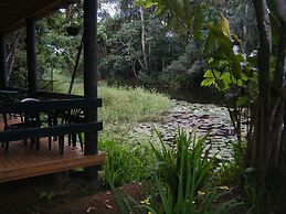 Rainforest Eco Lodge