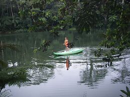 Rainforest Eco Lodge