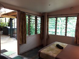 Rainforest Eco Lodge