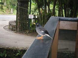 Rainforest Eco Lodge