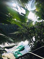 Rainforest Eco Lodge