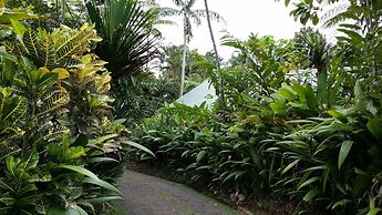 Rainforest Eco Lodge