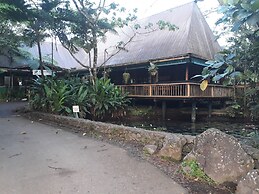 Rainforest Eco Lodge