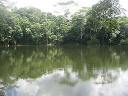 Rainforest Eco Lodge