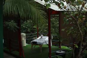 Jungle's Edge