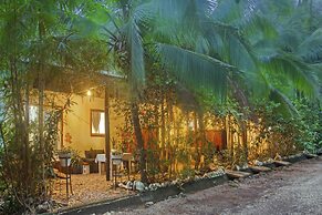 Jungle's Edge