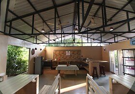 Jungle's Edge