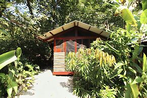 Jungle's Edge