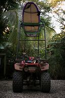Jungle's Edge