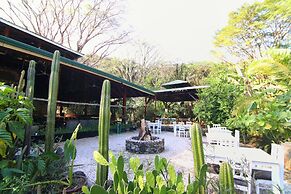 Jungle's Edge